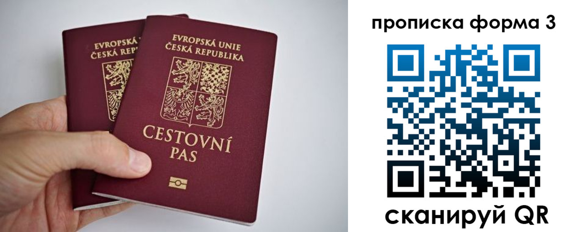 регистрация для школы в Светлом